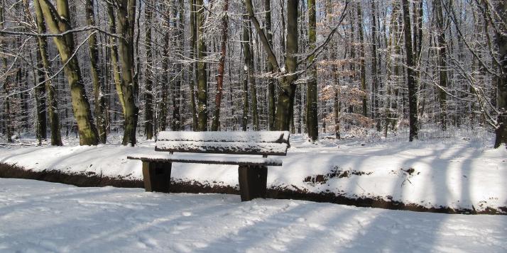 Bank im Schnee
