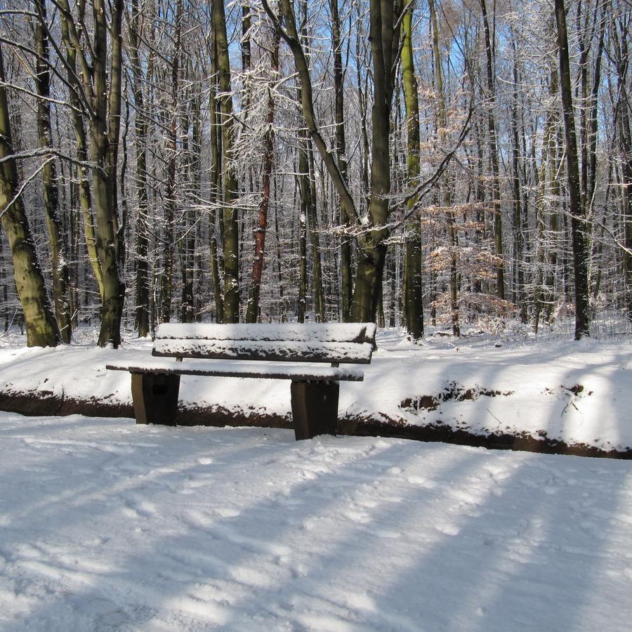 Bank im Schnee