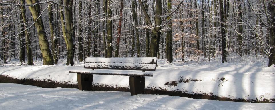 Bank im Schnee