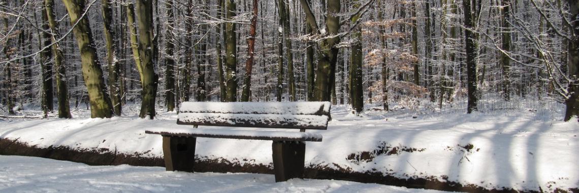 Bank im Schnee