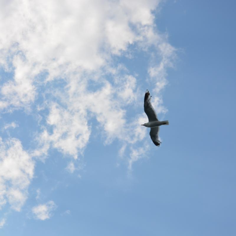 DSC_0039